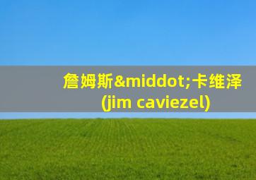 詹姆斯·卡维泽(jim caviezel)